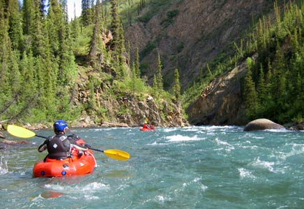 picture of paddling